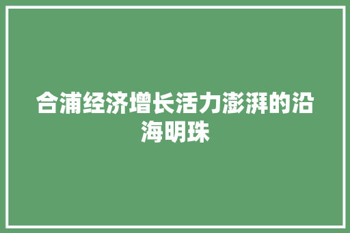 合浦经济增长活力澎湃的沿海明珠 合浦经济增长活力澎湃的沿海明珠