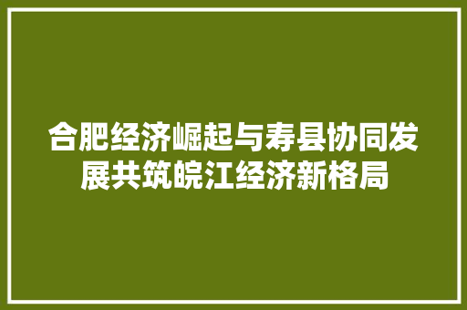 合肥经济崛起与寿县协同发展共筑皖江经济新格局 合肥经济崛起与寿县协同发展共筑皖江经济新格局