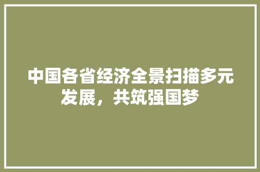 中国各省经济全景扫描多元发展,共筑强国梦 中国各省经济全景扫描多元发展,共筑强国梦