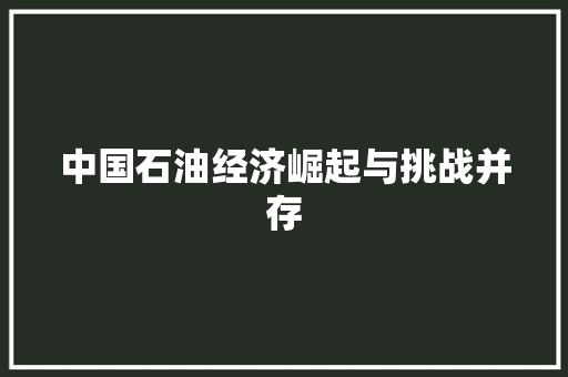 中国石油经济崛起与挑战并存 中国石油经济崛起与挑战并存