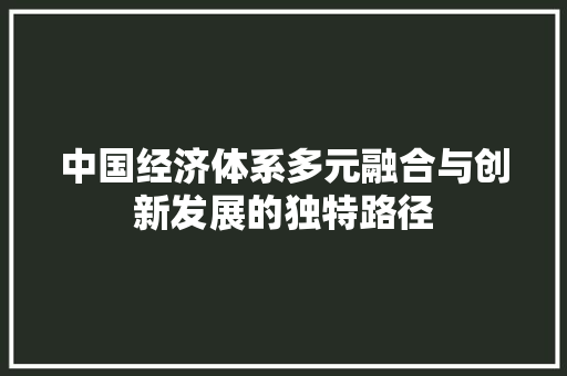 中国经济体系多元融合与创新发展的独特路径 中国经济体系多元融合与创新发展的独特路径
