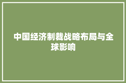 中国经济制裁战略布局与全球影响 中国经济制裁战略布局与全球影响