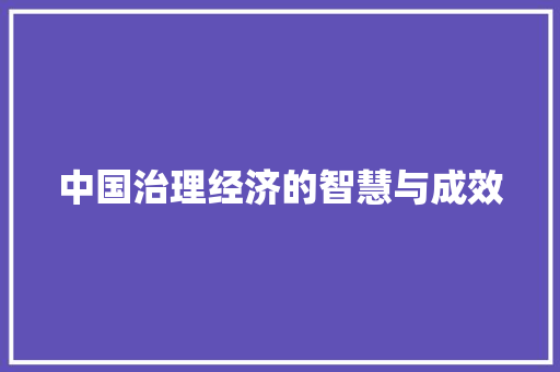 中国治理经济的智慧与成效 中国治理经济的智慧与成效