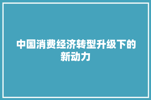 中国消费经济转型升级下的新动力 中国消费经济转型升级下的新动力