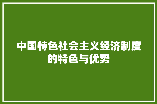 中国特色社会主义经济制度的特色与优势 中国特色社会主义经济制度的特色与优势