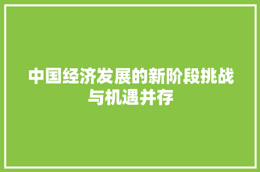 中国经济发展的新阶段挑战与机遇并存 中国经济发展的新阶段挑战与机遇并存