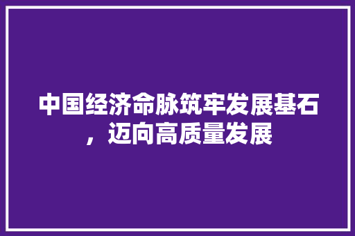 中国经济命脉筑牢发展基石,迈向高质量发展 中国经济命脉筑牢发展基石,迈向高质量发展