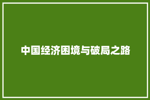 中国经济困境与破局之路 中国经济困境与破局之路