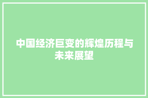 中国经济巨变的辉煌历程与未来展望 中国经济巨变的辉煌历程与未来展望