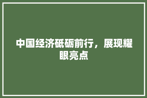 中国经济砥砺前行,展现耀眼亮点 中国经济砥砺前行,展现耀眼亮点