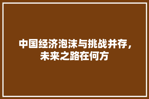 中国经济泡沫与挑战并存,未来之路在何方 中国经济泡沫与挑战并存,未来之路在何方
