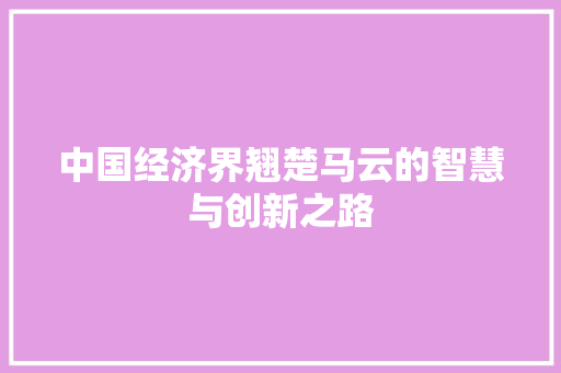 中国经济界翘楚马云的智慧与创新之路 中国经济界翘楚马云的智慧与创新之路