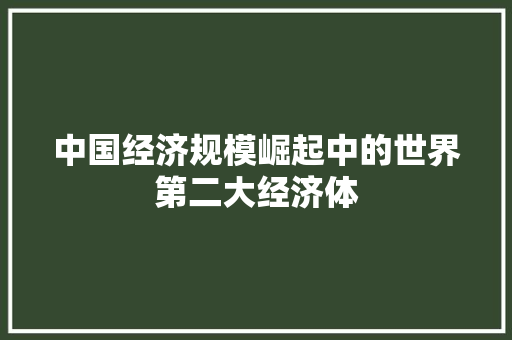 中国经济规模崛起中的世界第二大经济体 中国经济规模崛起中的世界第二大经济体