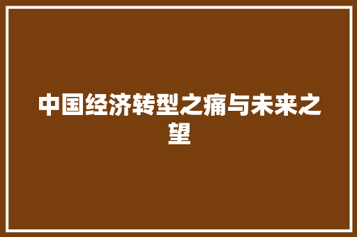 中国经济转型之痛与未来之望 中国经济转型之痛与未来之望