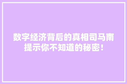 数字经济背后的真相司马南提示你不知道的秘密！