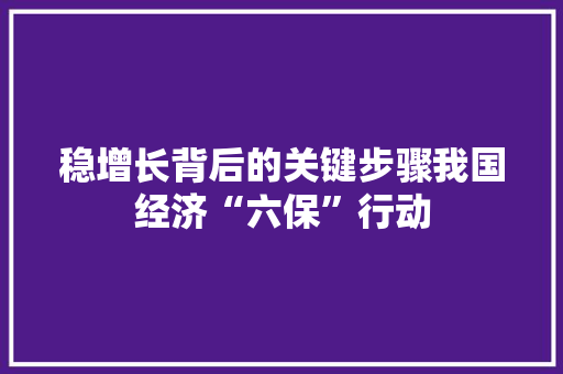 稳增长背后的关键步骤我国经济“六保”行动 稳增长背后的关键步骤我国经济“六保”行动