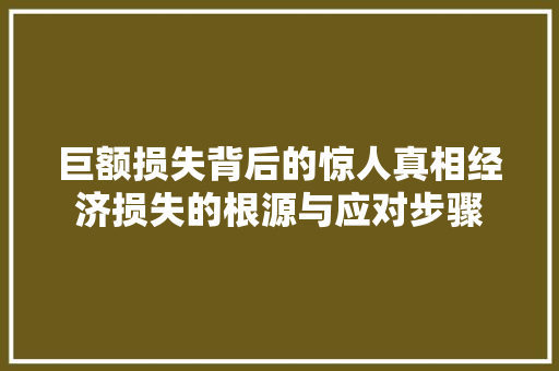 巨额损失背后的惊人真相经济损失的根源与应对步骤 巨额损失背后的惊人真相经济损失的根源与应对步骤