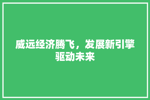威远经济腾飞,发展新引擎驱动未来 威远经济腾飞,发展新引擎驱动未来