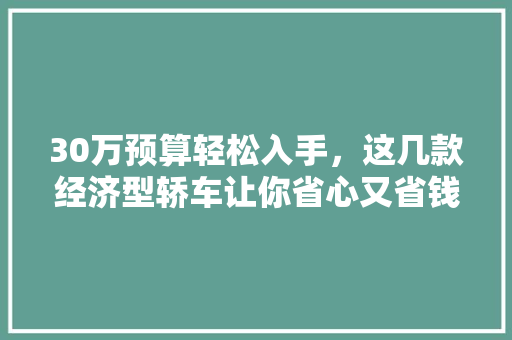 30万预算轻松入手,这几款经济型轿车让你省心又省钱 30万预算轻松入手,这几款经济型轿车让你省心又省钱