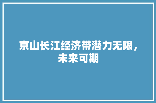 京山长江经济带潜力无限,未来可期 京山长江经济带潜力无限,未来可期
