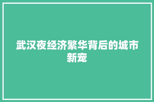 武汉夜经济繁华背后的城市新宠 武汉夜经济繁华背后的城市新宠