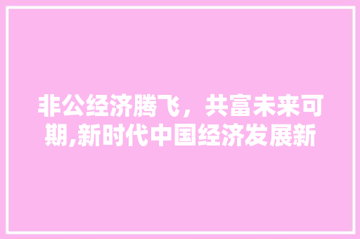 非公经济腾飞,共富未来可期,新时代中国经济发展新引擎 非公经济腾飞,共富未来可期,新时代中国经济发展新引擎