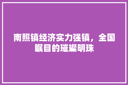 南照镇经济实力强镇,全国瞩目的璀璨明珠 南照镇经济实力强镇,全国瞩目的璀璨明珠