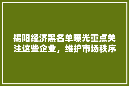 揭阳经济黑名单曝光重点关注这些企业,维护市场秩序刻不容缓! 揭阳经济黑名单曝光重点关注这些企业,维护市场秩序刻不容缓!