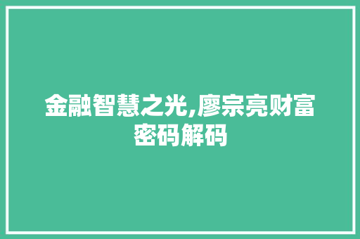 金融智慧之光,廖宗亮财富密码解码 金融智慧之光,廖宗亮财富密码解码