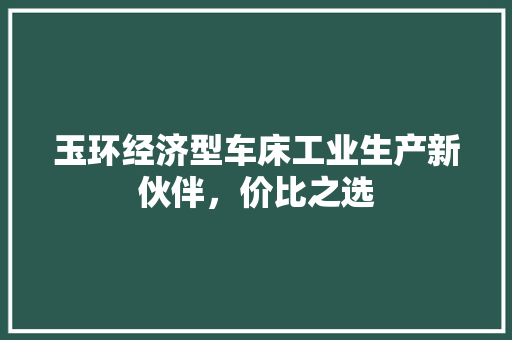 玉环经济型车床工业生产新伙伴,价比之选 玉环经济型车床工业生产新伙伴,价比之选