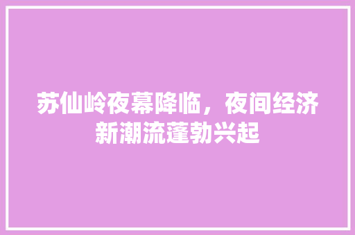 苏仙岭夜幕降临,夜间经济新潮流蓬勃兴起 苏仙岭夜幕降临,夜间经济新潮流蓬勃兴起