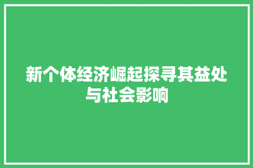 新个体经济崛起探寻其益处与社会影响
