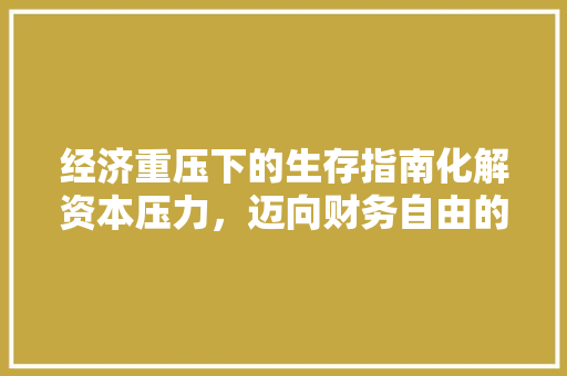 经济重压下的生存指南化解资本压力,迈向财务自由的路径 经济重压下的生存指南化解资本压力,迈向财务自由的路径