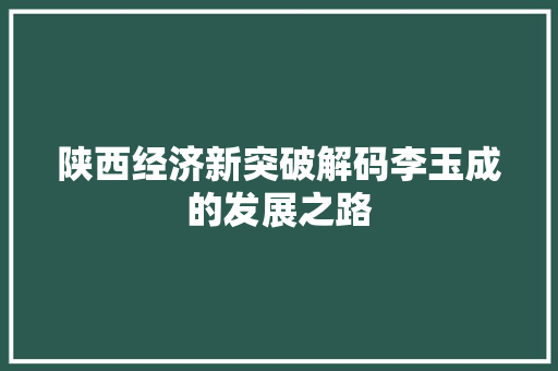 陕西经济新突破解码李玉成的发展之路 陕西经济新突破解码李玉成的发展之路
