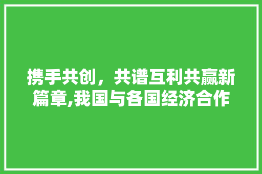 携手共创,共谱互利共赢新篇章,我国与各国经济合作潜力无限 携手共创,共谱互利共赢新篇章,我国与各国经济合作潜力无限