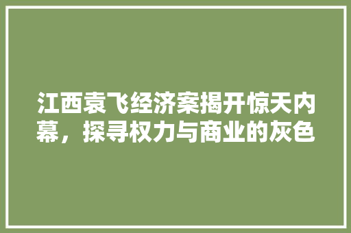江西袁飞经济案揭开惊天内幕,探寻权力与商业的灰色地带 江西袁飞经济案揭开惊天内幕,探寻权力与商业的灰色地带