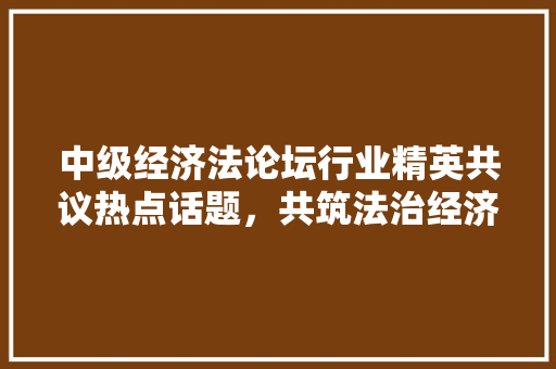 中级经济法论坛行业精英共议热点话题,共筑法治经济新篇章 中级经济法论坛行业精英共议热点话题,共筑法治经济新篇章