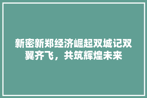新密新郑经济崛起双城记双翼齐飞,共筑辉煌未来 新密新郑经济崛起双城记双翼齐飞,共筑辉煌未来
