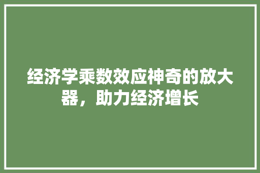 经济学乘数效应神奇的放大器,助力经济增长 经济学乘数效应神奇的放大器,助力经济增长
