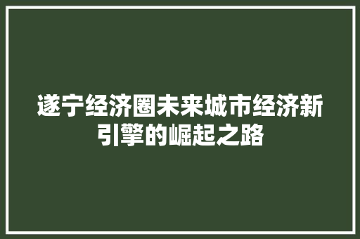 遂宁经济圈未来城市经济新引擎的崛起之路 遂宁经济圈未来城市经济新引擎的崛起之路