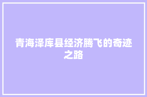 青海泽库县经济腾飞的奇迹之路 青海泽库县经济腾飞的奇迹之路