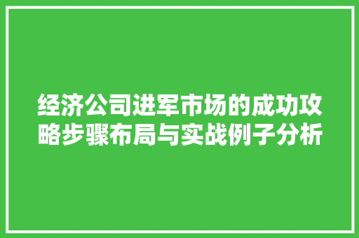 经济公司进军市场的成功攻略步骤布局与实战例子分析 经济公司进军市场的成功攻略步骤布局与实战例子分析