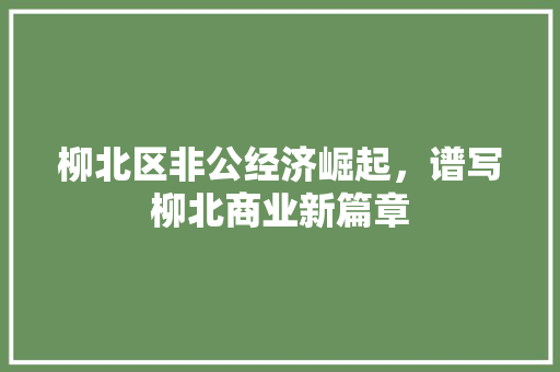 柳北区非公经济崛起,谱写柳北商业新篇章 柳北区非公经济崛起,谱写柳北商业新篇章