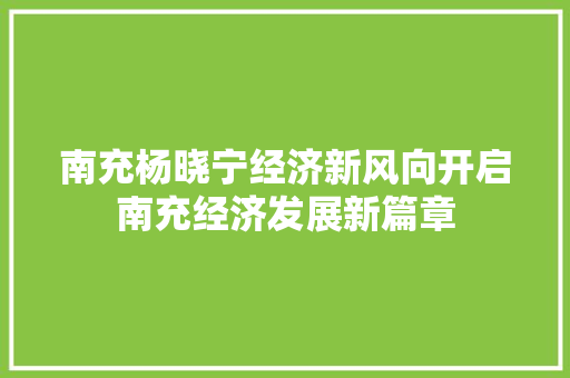 南充杨晓宁经济新风向开启南充经济发展新篇章 南充杨晓宁经济新风向开启南充经济发展新篇章