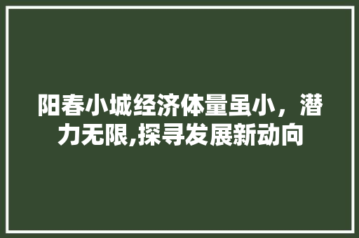 阳春小城经济体量虽小,潜力无限,探寻发展新动向 阳春小城经济体量虽小,潜力无限,探寻发展新动向