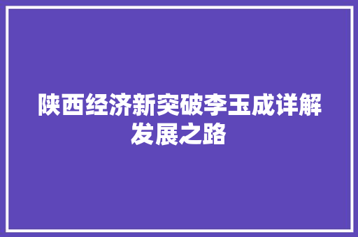 陕西经济新突破李玉成详解发展之路 陕西经济新突破李玉成详解发展之路