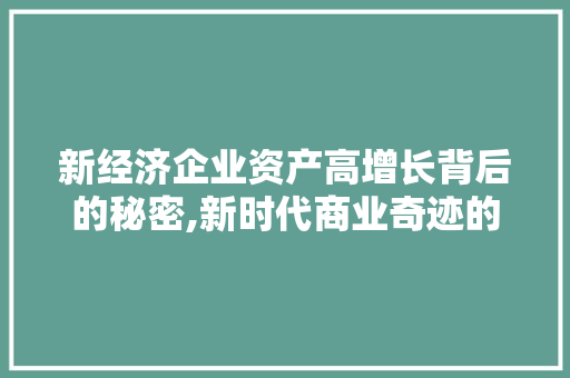 新经济企业资产高增长背后的秘密,新时代商业奇迹的驱动因素 新经济企业资产高增长背后的秘密,新时代商业奇迹的驱动因素