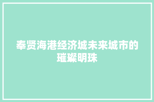 奉贤海港经济城未来城市的璀璨明珠