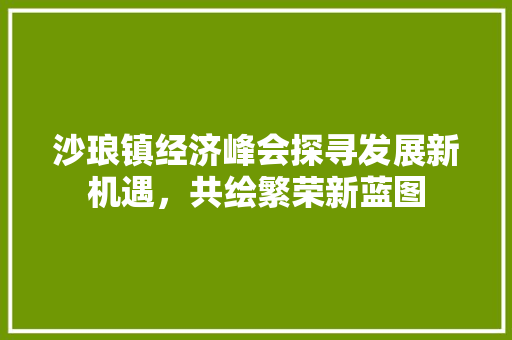 沙琅镇经济峰会探寻发展新机遇,共绘繁荣新蓝图 沙琅镇经济峰会探寻发展新机遇,共绘繁荣新蓝图