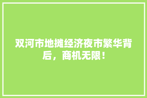 双河市地摊经济夜市繁华背后,商机无限! 双河市地摊经济夜市繁华背后,商机无限!